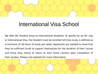 Best International Visa School