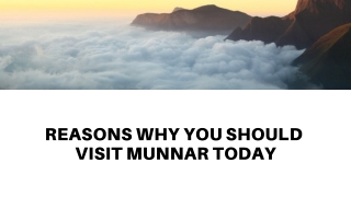 Reasons why you should visit Munnar today