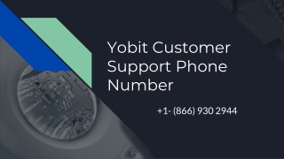 Yobit Customer Support 1- (866) 930 2944 Phone Number