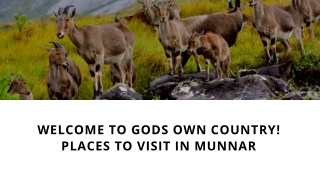 Welcome to God's own country