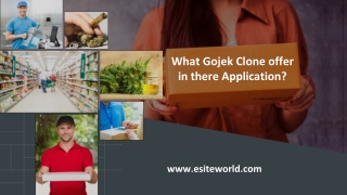 What Gojek Clone offer in there Application?