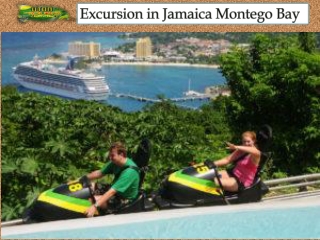 Excursion in Jamaica Montego Bay