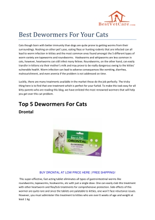 Best Dewormers For Your Cats