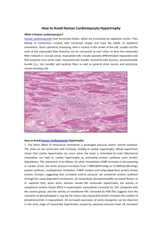 human cardiomyocytes