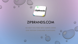 Best Real Estate Lead Providers - ZipBrands