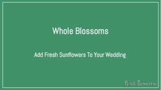 Get Bulk Sunflower Wholesale for Your Special Day Celebrations