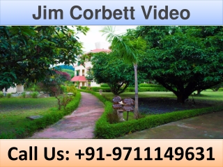 Jim Corbett Video