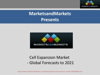 Cell Expansion Market Size, By End User