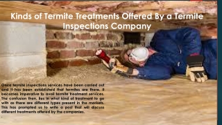 Kinds of Termite Treatments Offered By a Termite Inspections Company
