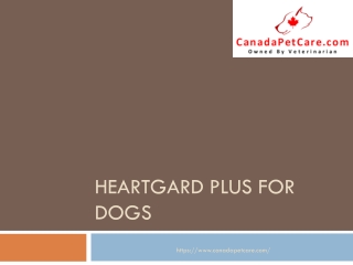 Heartgard Plus for Dogs