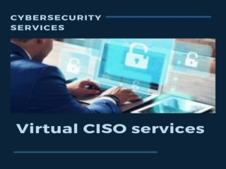Grow your business with Virtual CISO Services