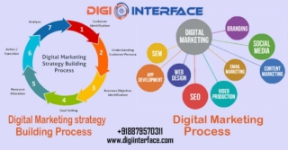 Find the best Digital Marketing Solutions for your Business