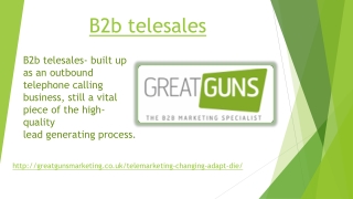 B2b telesales