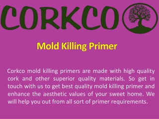 Mold Killing Primer