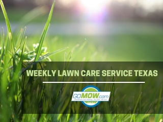Weekly lawn care service for Spring season in TX – GoMow