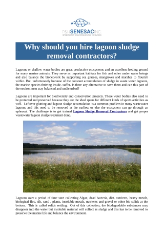 Why Should You Hire Lagoon Sludge Removal Contractors?