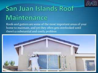 Types and Benefits of Roof Cleaning and Maintenance