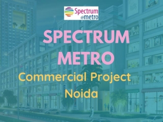 Spectrum metro Commercial Property Noida