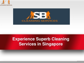 Experience Superb Cleaning Services in Singapore