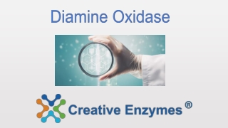 diamine oxidase