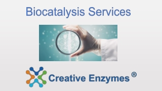 Biocatalysis Services