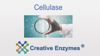 cellulase