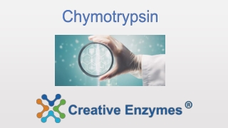 chymotrypsin