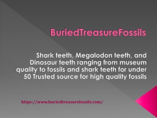 5 Interesting Facts About Megaldon