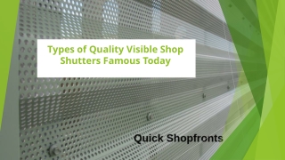 Types of Quality Visible Shop Shutters Famous Today