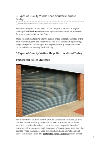 3 Types of Quality Visible Shop Shutters Famous Today