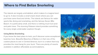 Where to Find Belize Snorkeling