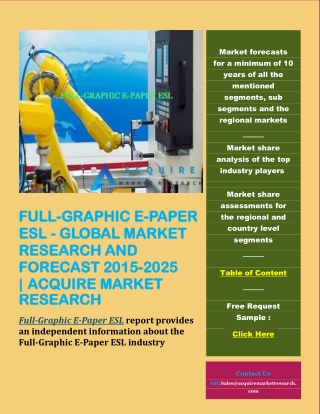 Full-Graphic E-Paper ESL - Global Market Research and Forecast 2015-2025