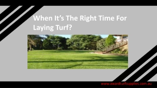 When it’s The Right Time for Laying Turf?