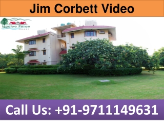 Jim Corbett Video