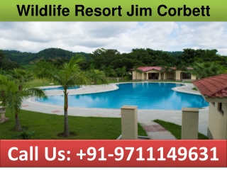 Wildlife Resort Jim Corbett