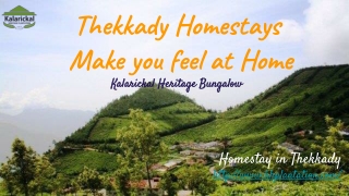 Thekkady Homestays make you feel at home