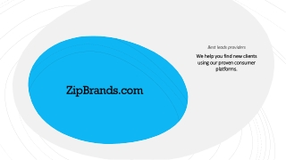 Real Estate Lead Generation Programs - Zipbrands