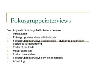 Fokusgruppeinterviews