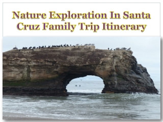 Nature Exploration In Santa Cruz Family Trip Itinerary