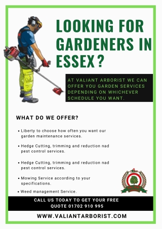Gardeners in Essex - Valiant Arborist