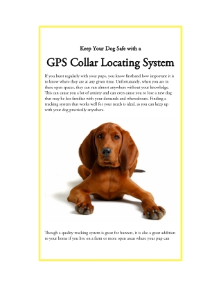 Keep Your Dog Safe with a GPS Collar Locating System