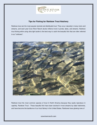 Tips for Fishing for Rainbow Trout Hatchery