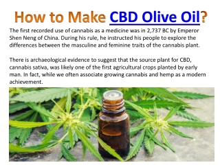 How to Make CBD Olive Oil?