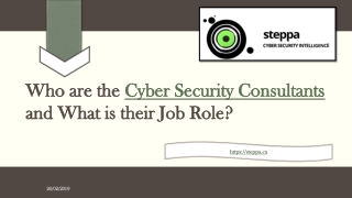 Who are the Cyber Security Consultants and what is their job role?