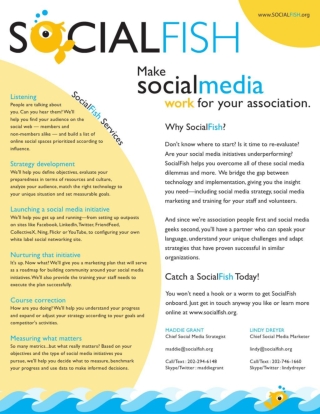 Socialfish Onesheet