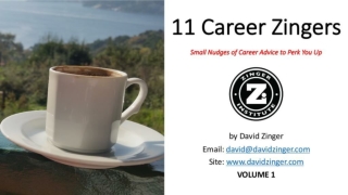 Career Zingers Volume 1