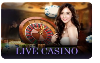 Playing the Live Dealer Roulette