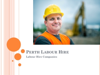 Labour Hire Companies