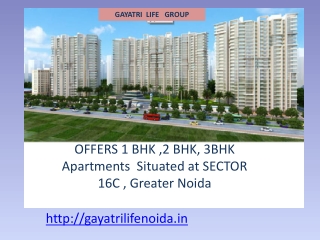 Gayatri Life Noida Extension