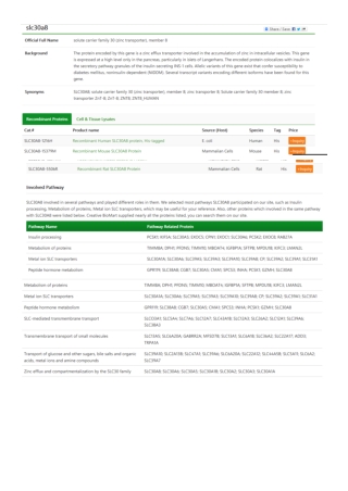 solute carrier family 30 (zinc transporter), member 8